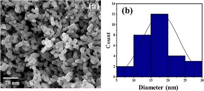 Exploring the potential of a Ephedra alata leaf extract: Phytochemical analysis, antioxidant activity, antibacterial properties, and green synthesis of ZnO nanoparticles for photocatalytic degradation of methylene blue